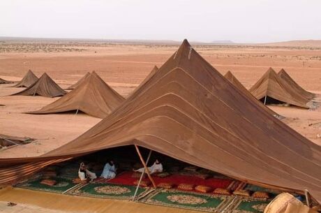 Sharm el Sheikh - Kahire (İskenderiye 5 Yıldız)