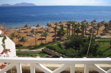 Sharm el Sheikh, Kahire ve İskenderiye 2