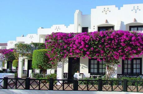 Yılbaşı Özel Galası Dahil Ankara Hareketli Sharm el Sheikh 4 Gece 5 Gün