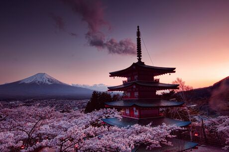 Comfort Japonya & Kore Turu 9 gece Ekstra Turlar ve Çay Seremonisi Dahil