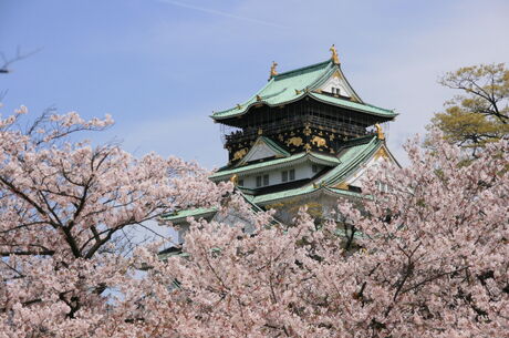 Comfort Japonya & Kore Turu 9 gece Ekstra Turlar ve Çay Seremonisi Dahil